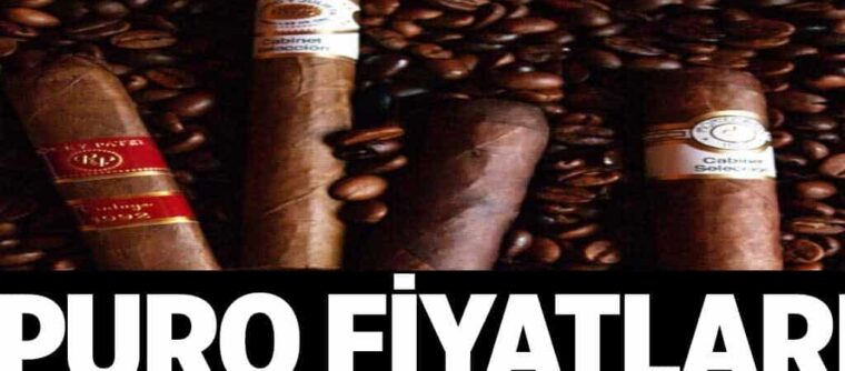Puro Fiyatlari 1024x6222G6.jpg