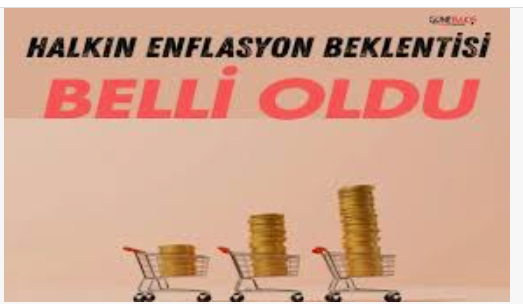 enflasyon beklentisi dusuyor ama guven yok prof dr demiralpe gore dususun sirri yavaslayan ekonomi bOT4dtn7.png